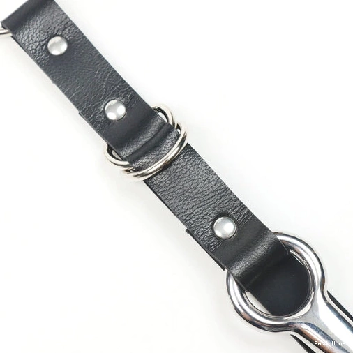 and with EverydayUse 5853 Anal Collar Kinky Leash Hook 1022